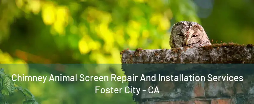 Chimney Animal Screen Repair And Installation Services Foster City - CA