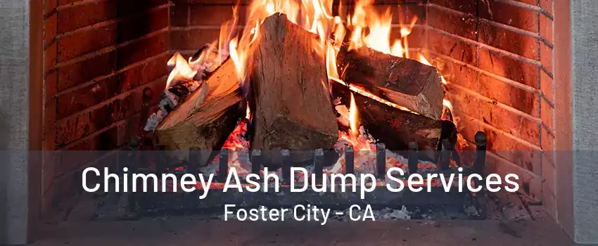 Chimney Ash Dump Services Foster City - CA