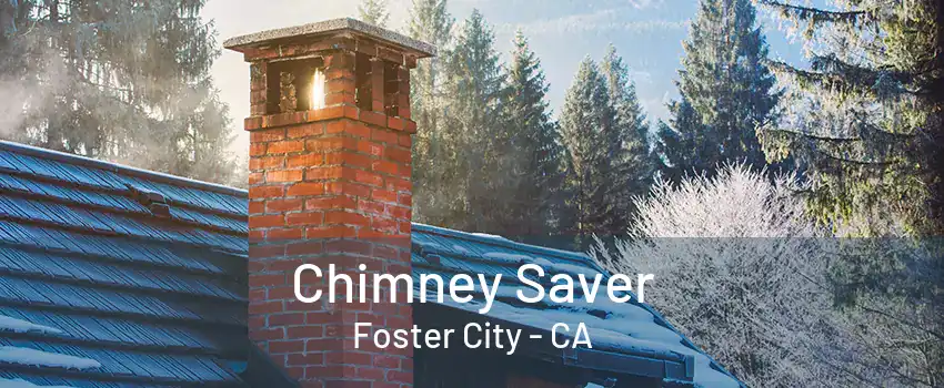 Chimney Saver Foster City - CA