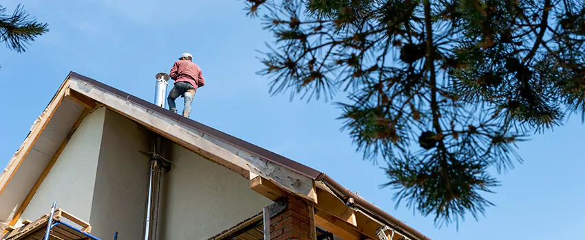 Birds Removal Contractors from Chimney in Foster City, CA